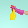 A Comprehensive Guide to Popular Specialized Cleaning Software Options